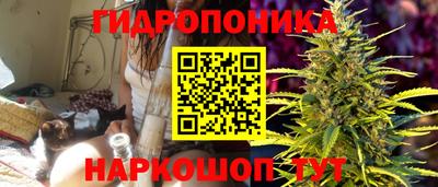 соль ск Кингисепп