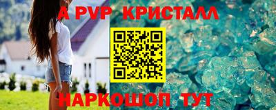 соль ск Кингисепп
