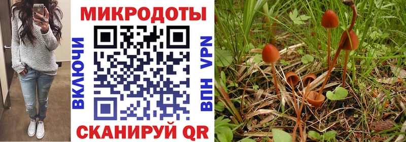 Псилоцибиновые грибы прущие грибы  Магадан 