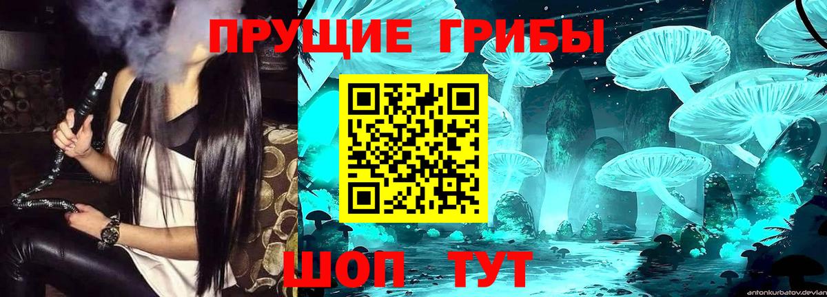 Магадан  Галлюциногенные грибы GOLDEN TEACHER  Вход с VPN 